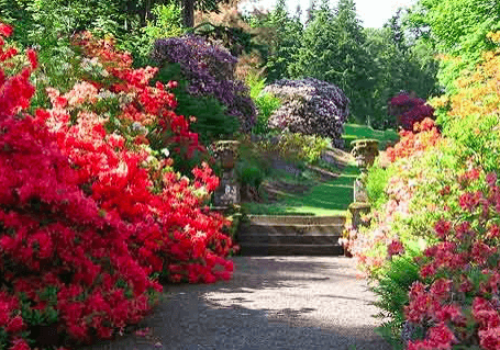 Greencombe Gardens