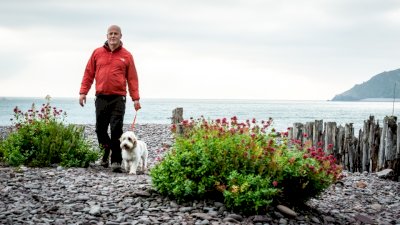 Dog Walks in Somerset