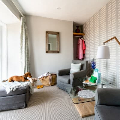 Dog Sitting on Chair