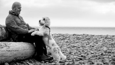 Dog friendly breaks exmoor